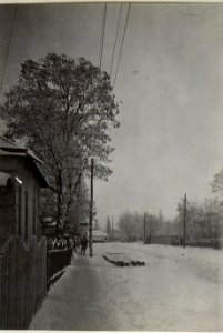 Aufnahmen aus der Etappe am russischen Kriegsschauplatz (BildID 15688597)