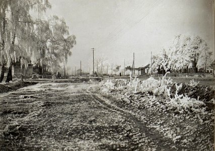 Aufnahmen aus der Etappe am russischen Kriegsschauplatz (BildID 15689192)