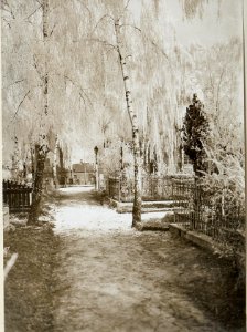 Aufnahmen aus der Etappe am russischen Kriegsschauplatz (BildID 15689199)