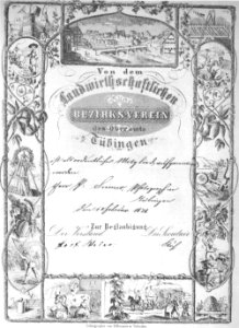 Aufnahmeurkunde Paul Sinners in den Landwirtschaftlichen Bezirksverein Tübingen (1878 DaT056)