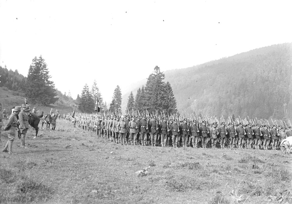 Aufstellung der Division 2 zum Defilee - CH-BAR - 3240058