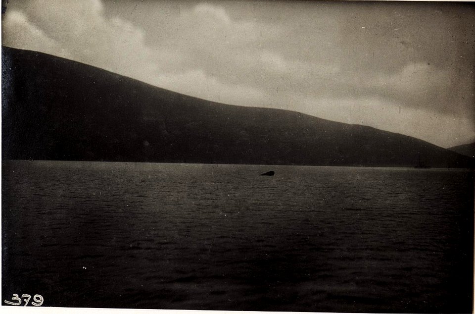 Auftauchendes Unterseeboot. (BildID 15572179)