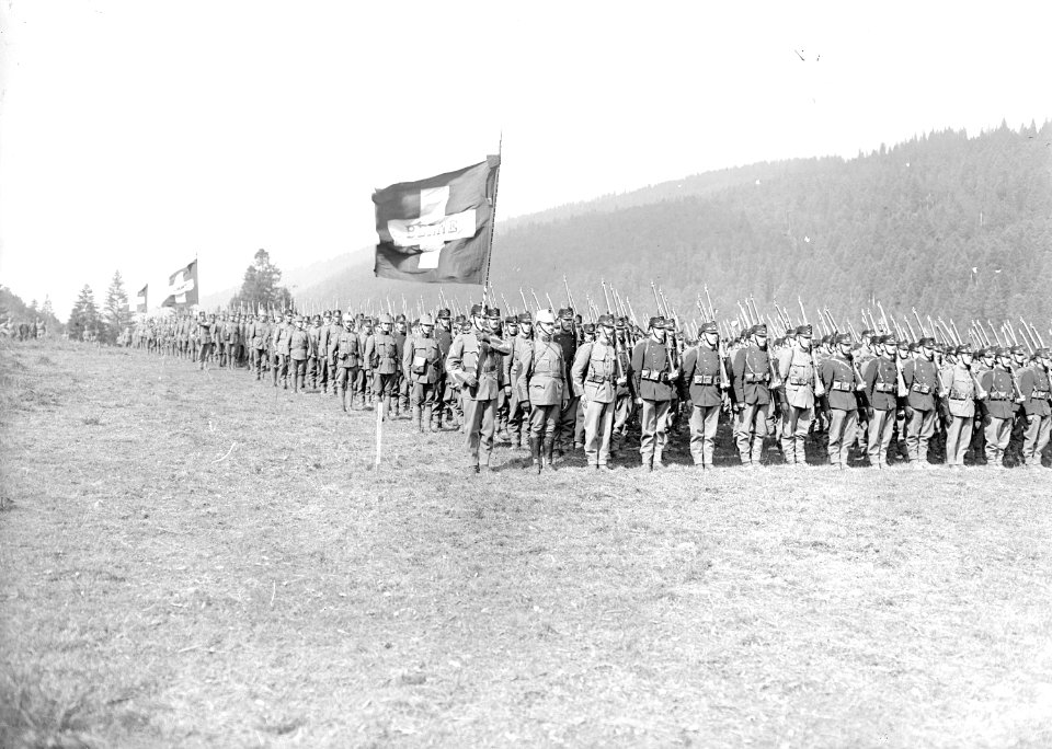 Aufstellung der Division 2 zum Defilee - CH-BAR - 3240057