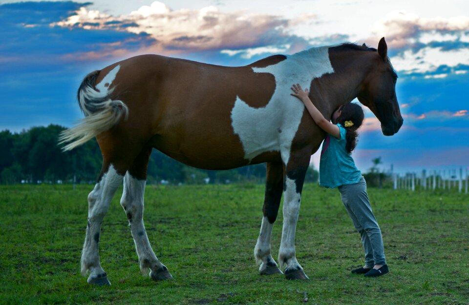 Girl field friend horse friendship horse