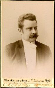 August Arppe, porträtt - SMV - H1 053