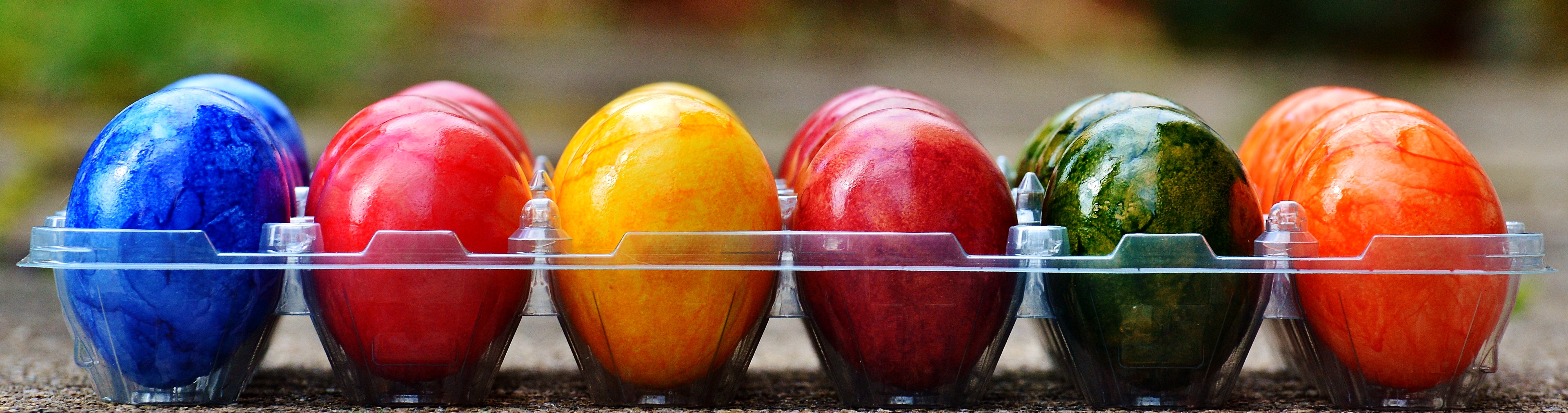 Color colorful eggs colorful