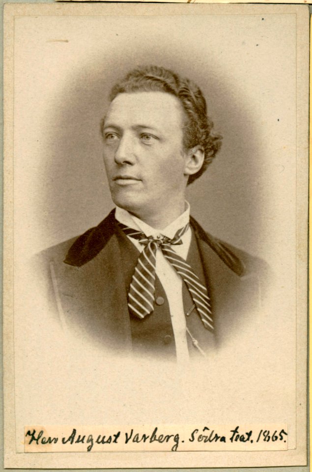 August Warberg, porträtt - SMV - H8 222