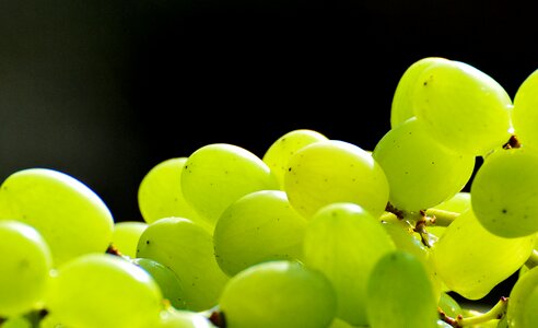 Fruit food green
