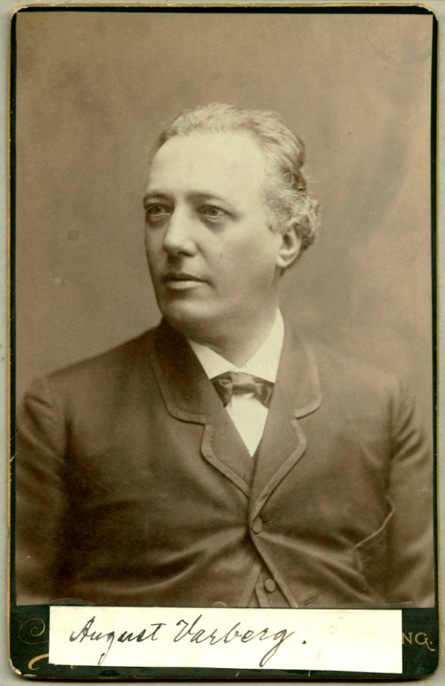 August Warberg, porträtt - SMV - H8 221