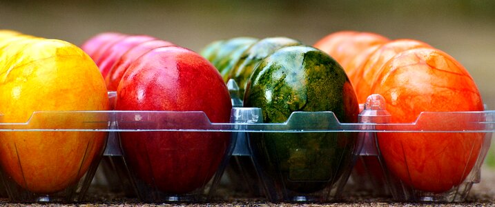 Color colorful eggs colorful photo