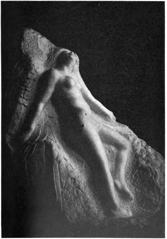 Auguste Rodin Lys brise Gsell 293