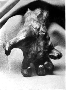 Auguste Rodin Main Gsell 222