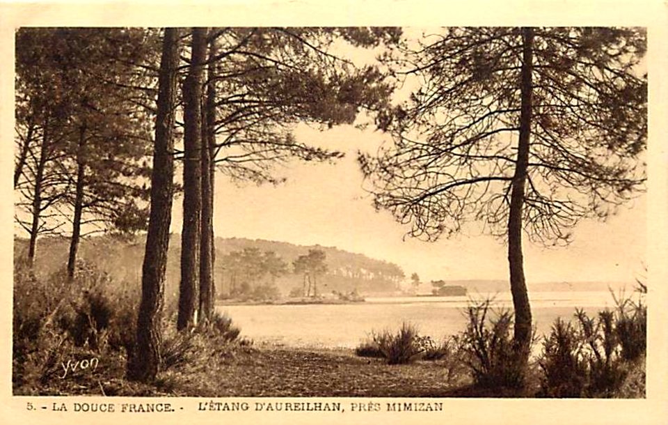 Aureilhan (Landes) - Etang 3