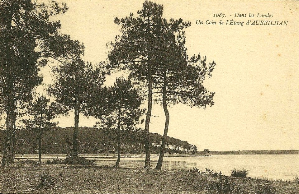 Aureilhan (Landes) - Etang 2