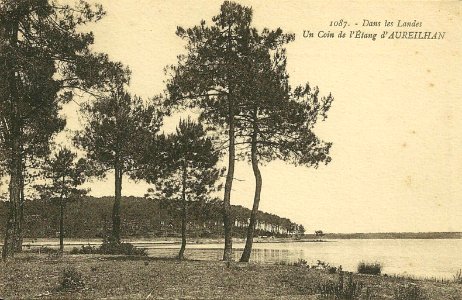 Aureilhan (Landes) - Etang 2