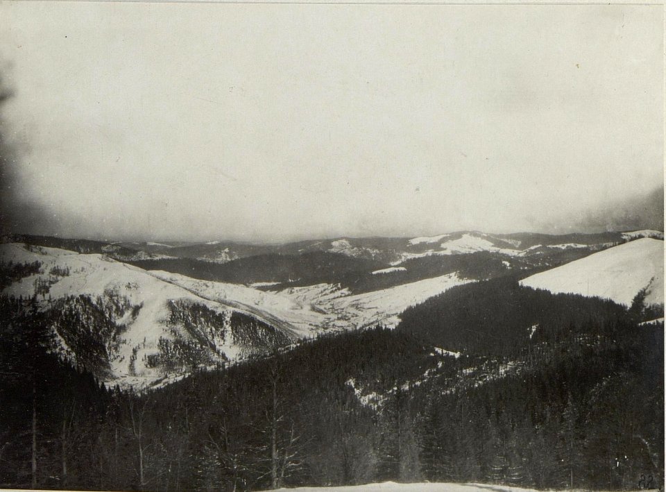 Ausblick auf die Ostkarpathen v.M.Diacul aus (BildID 15665496)