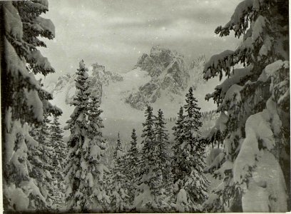 Ausblick vom Seikofl (BildID 15519519)