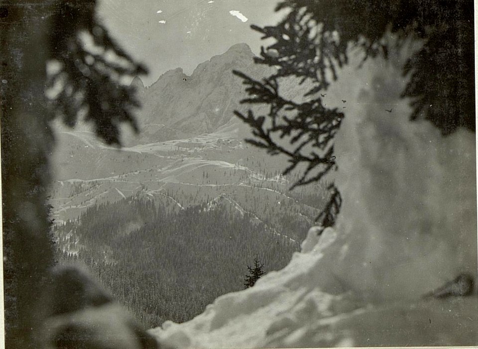 Ausblick vom Seikofl (BildID 15519512)