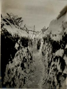Ausgang der 3.Feldwache bei der 16. Kompanie des bosnisch-herzegowinischen Infanterieregimentes1,l 9.1.1917 (BildID 15543003)