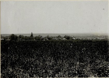 Ausblick von Rozulna feindwärts. (BildID 15550097)