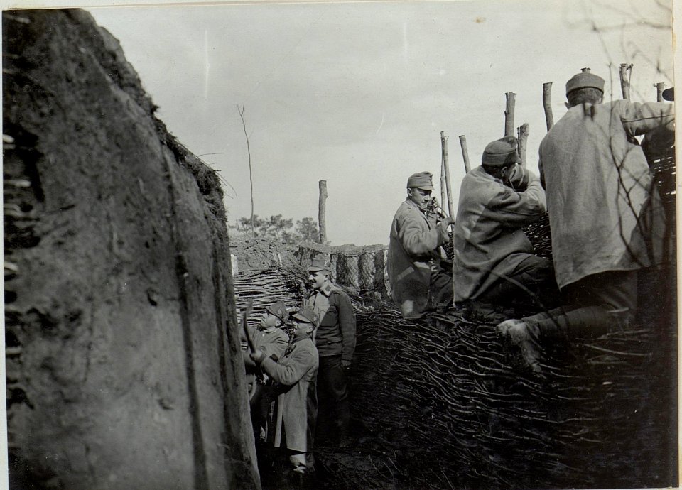 Ausflechten der Wände in einen Schützengraben bei der linken Flügelkompagnie 5 des Feldjägerbataillons 10, Park Palästina (BildID 15442790)