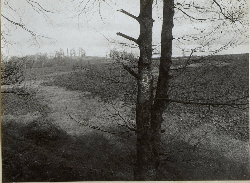 Ausblick vom Standpunkt des Bataillonskommandos westlich Kante des Sattels ca. 2000 Schritte nordöstlich Cavcici 813 (BildID 15660664)