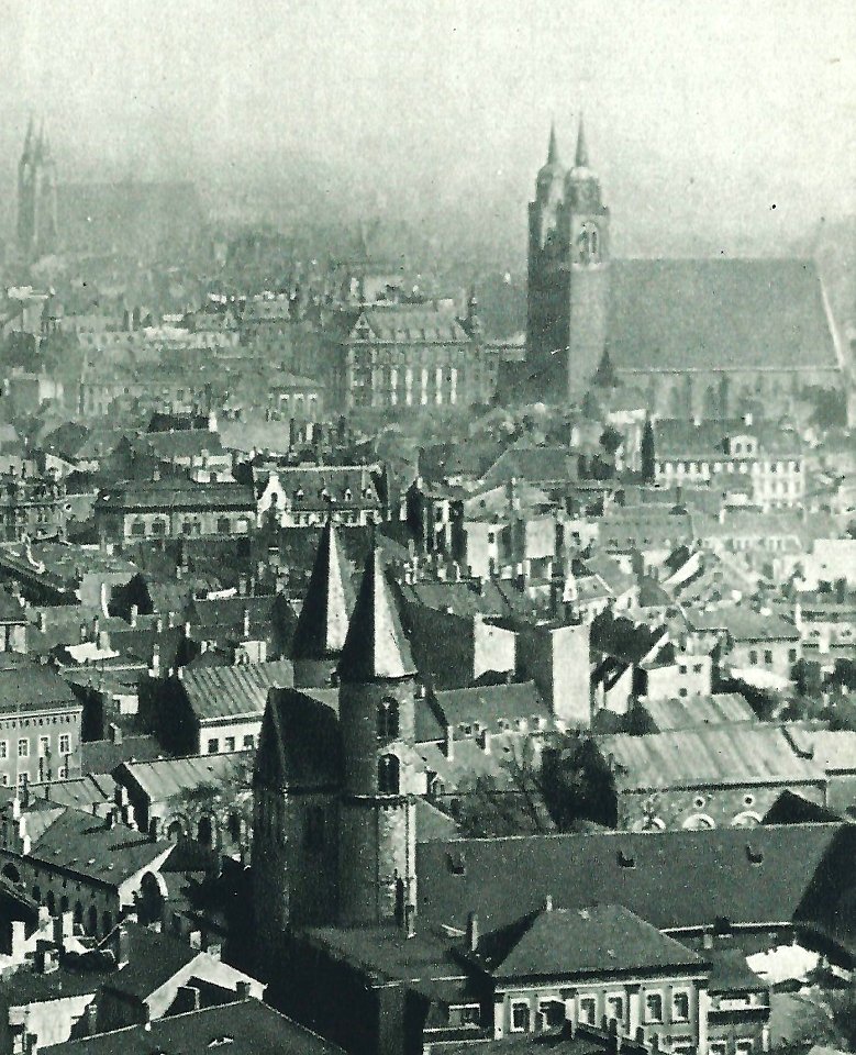 Ausschnitt aus Blick vom Dom auf Magdeburg