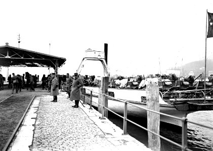 Ausladen der Pferde im Hafen von Flüelen - CH-BAR - 3240385