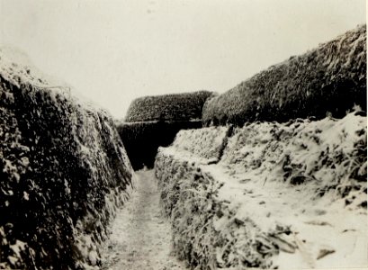Ausgebauter Schützengraben bei der 10. Kompanie des Infanterieregimentes 75, Abschnitt Augustovka (BildID 15543073)