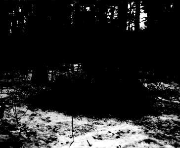 Ausruhen einer Gruppe Soldaten im Wald - CH-BAR - 3236731