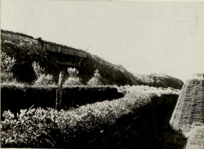 Ausschussverhältnisse der Maschinengwehrabteilung 4 im Abschnitt des Infanterieregimentes 75 mit der Kampfstellung der 2. Kompanie des 75 Infanterieregimentes, Abschnitt südlich von Gebrow. (BildID 15541981)
