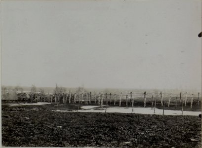Aussicht von der Schützenscharte. F.J.Baon Nro.28. Panasowka. (BildID 15454069)