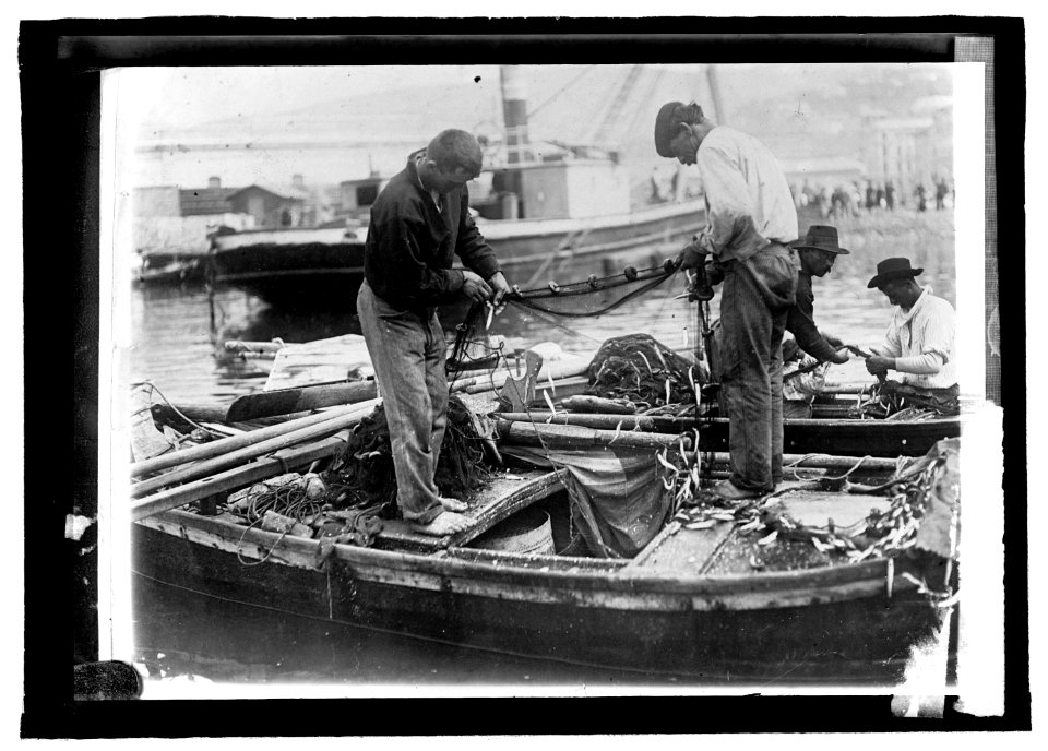 Austria. Sardine fishing, Gulf of Triest LCCN2016821593