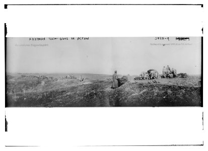 Austrian 10cm. guns in action LCCN2014698652