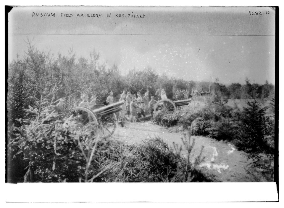 Austrian artillery in Russ. (i.e., Russian) Poland, 2-10-16 LCCN2014700392