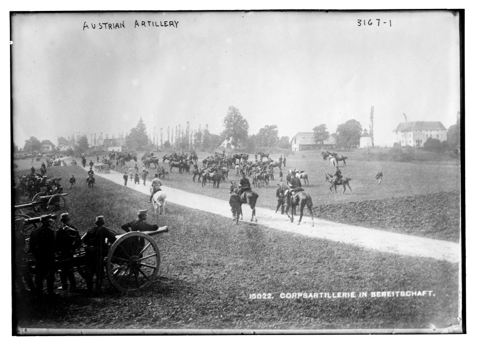 Austrian artillery LCCN2014696856
