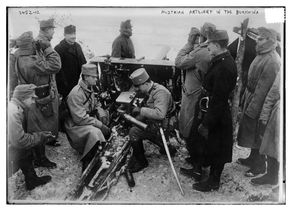 Austrian artillery in the Bukowina LCCN2014698876