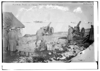 Austrian guns in firing position in Rus. (i.e., Russian) Poland LCCN2014700394