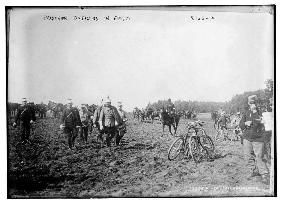 Austrian officers in field LCCN2014696855