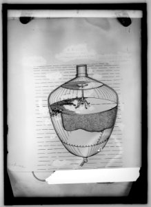 Austrian submarine mine which explodes by contact, sea water rushes in and presses down lever which causes ex. LCCN2016821158
