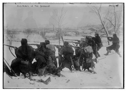 Austrians in the Bukowina LCCN2014698880