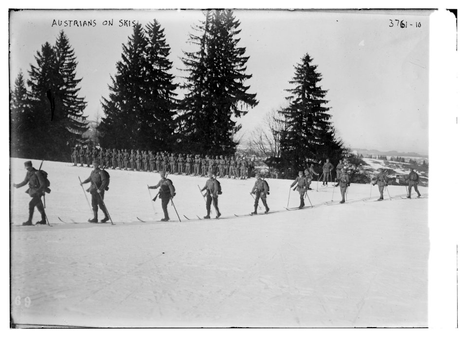 Austrians on skis LCCN2014701060