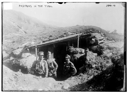 Austrians in the Tirol LCCN2014701569