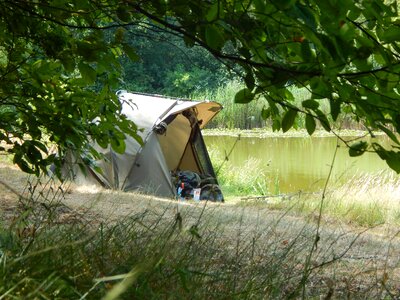 Fish nature tent