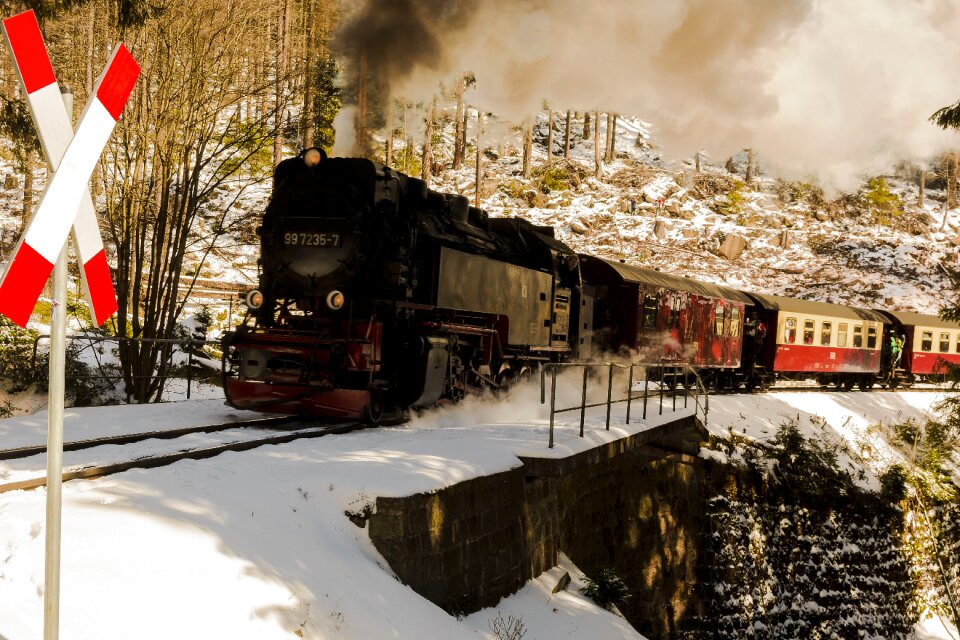 Boulder resin steam locomotive