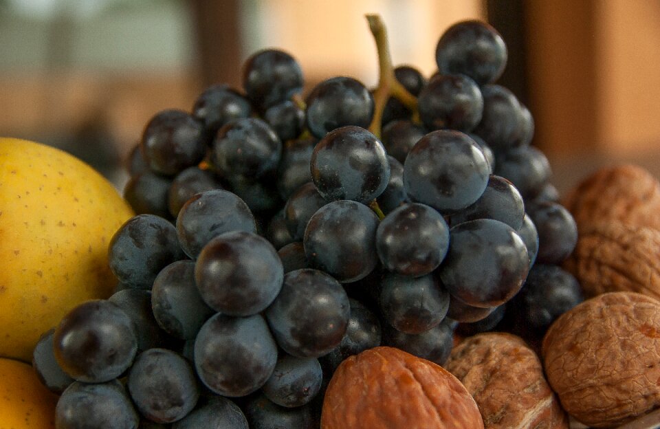 Bunch of grapes nuts vine