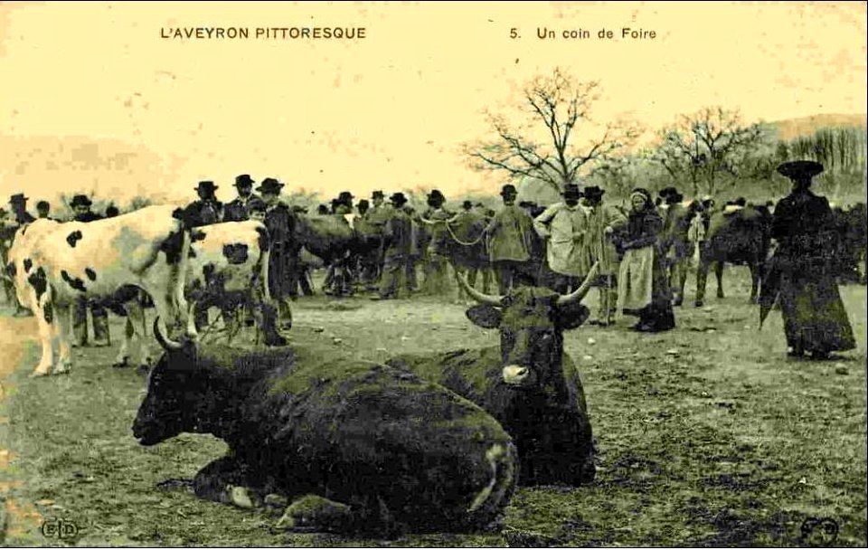 Aveyron Pittoresque 5 - Un coin de Foire