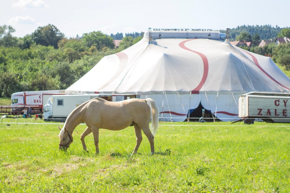 Machine circus grass meadow