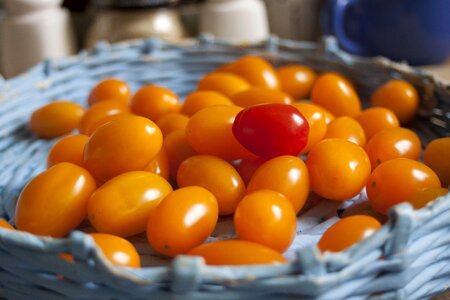 Small tomatoes tomato red photo