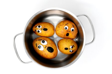 Pot cook funny